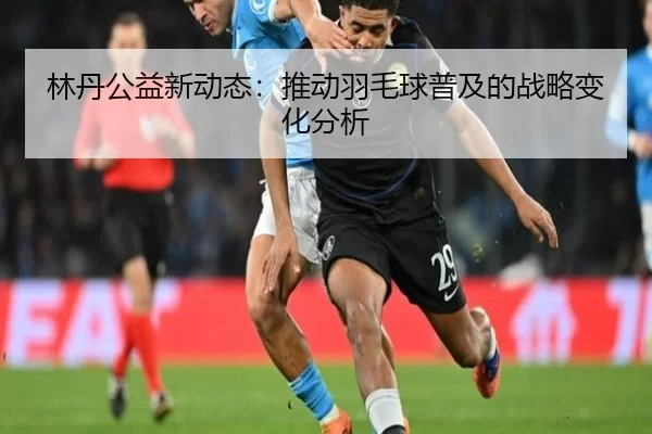 林丹公益新动态：推动羽毛球普及的战略变化分析